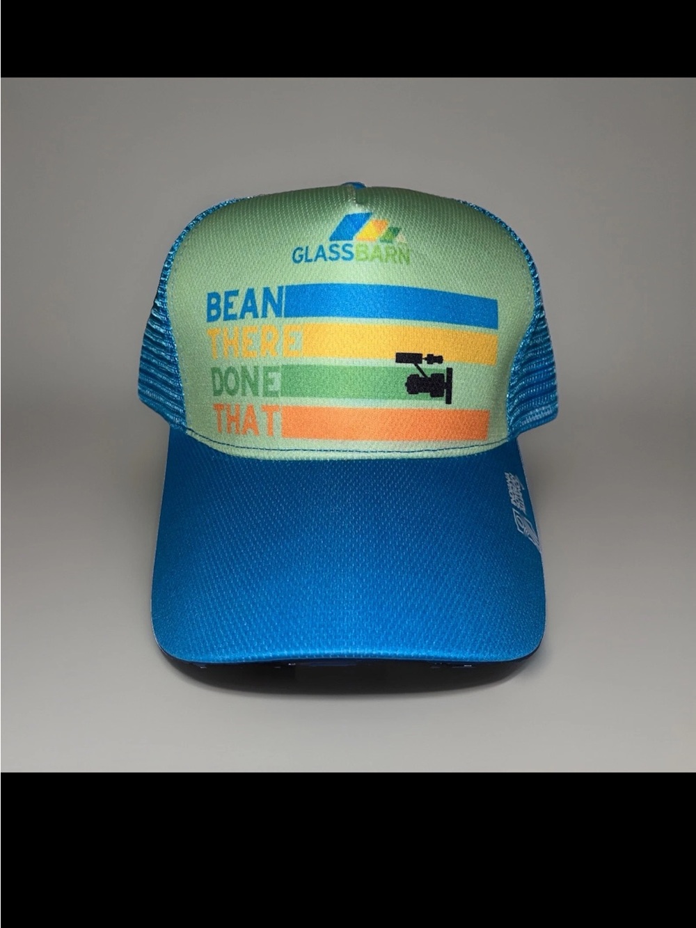 GlassBarn Indiana SoyBean Alliance Snapback Hat Blue/Green“Bean There Done That”